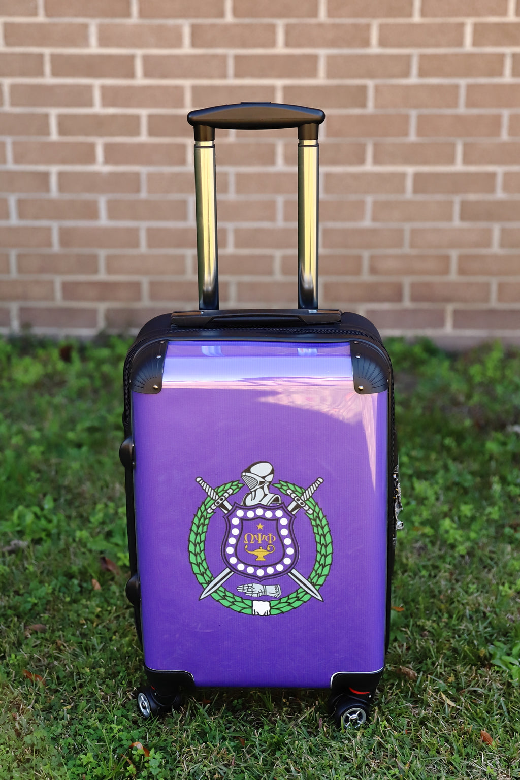 Omega Carryon Luggage with Crest